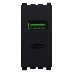 ETTROIT Modulo Presa Caricatore USB 2 Porte 3,1A USB-A + USB Type C Colo VA3002