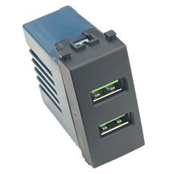 ETTROIT Modulo Presa Caricatore USB 5V 2,1A 2 Porte USB-A Colore Nero Co VA2402