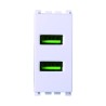 ETTROIT Modulo Presa Caricatore USB 5V 2,1A 2 Porte USB-A Colore Bianco VA2402B