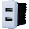 ETTROIT Modulo Presa Caricatore USB 5V 2,1A 2 Porte USB-A Bianco Compati MT2402