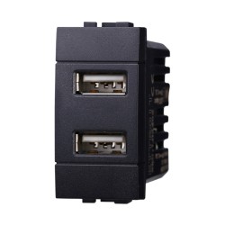 ETTROIT Modulo Presa Caricatore USB 5V 2,1A 2 Porte USB-A Colore Nero C BLN2402